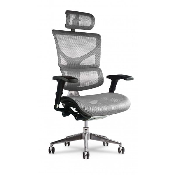 X- Chair- Executive Ergonomic Office Desk Chairs - Office Furniture ...