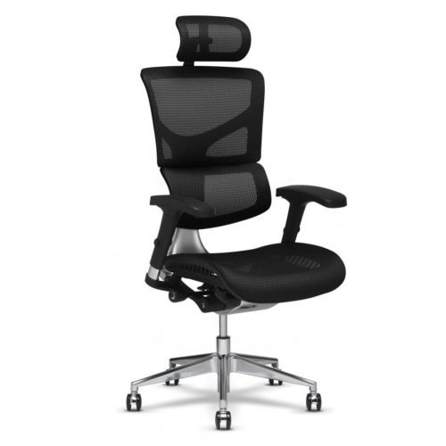 X Chair Executive Ergonomic Office Desk Chairs Office Furniture Liquidators